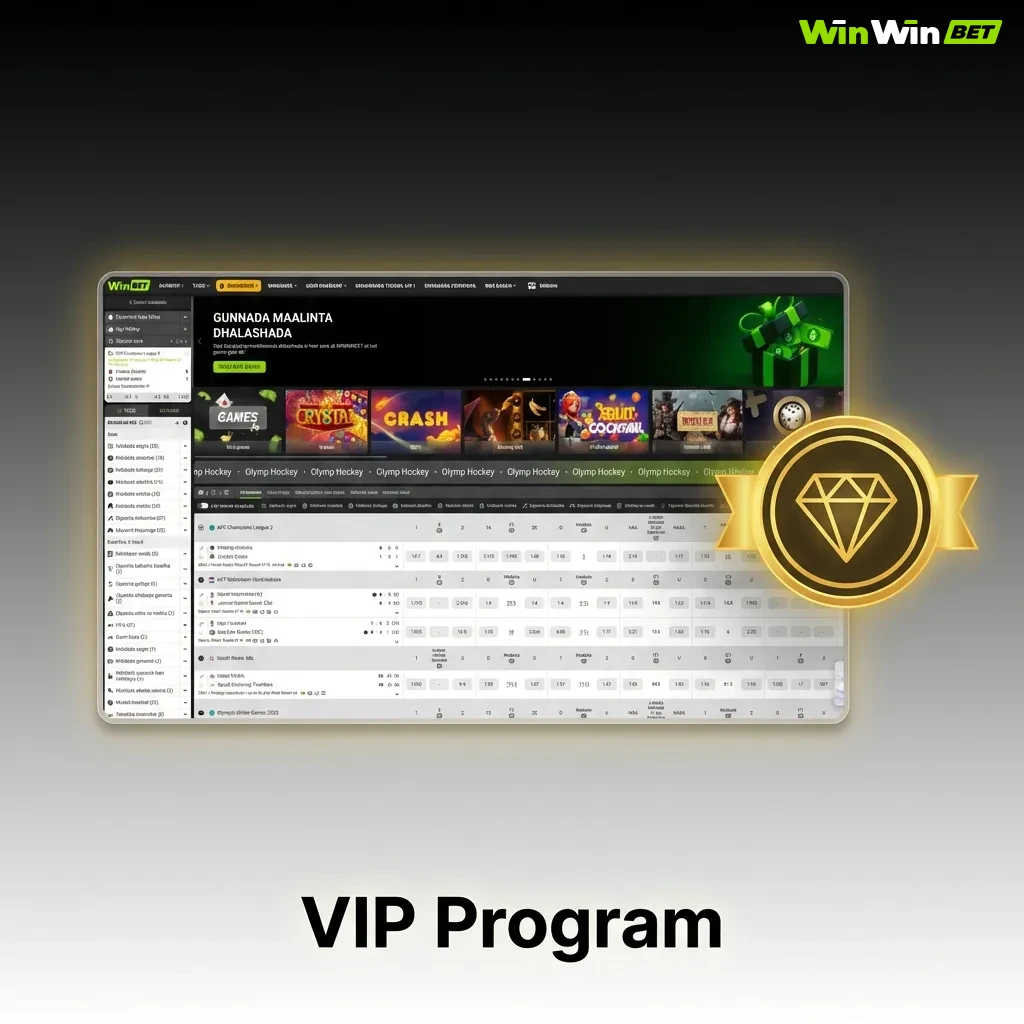 Six-tier VIP loyalty program showing Bronze through VIP Elite levels with increasing rewards and cashback benefits